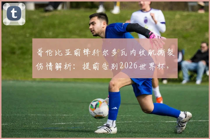 哥伦比亚前锋科尔多瓦内收肌撕裂伤情解析：提前告别2026世界杯，对球队影响及康复时间深度分析